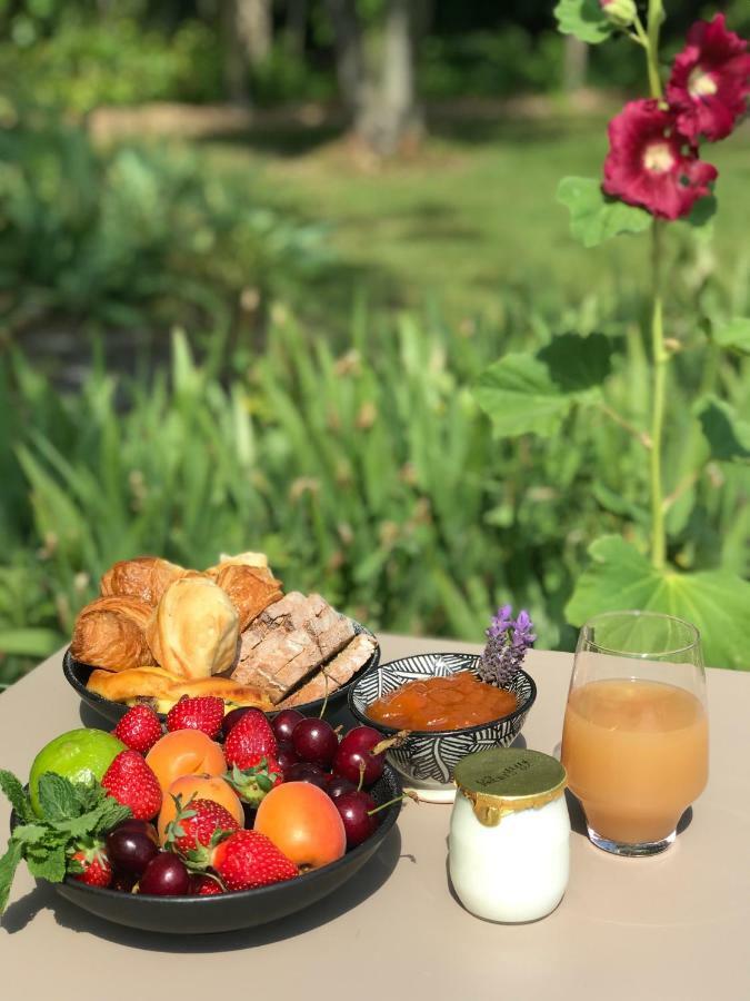 Le Cafe & La Forge Du Petit Badon Villa Салон-дьо-Жиро Екстериор снимка